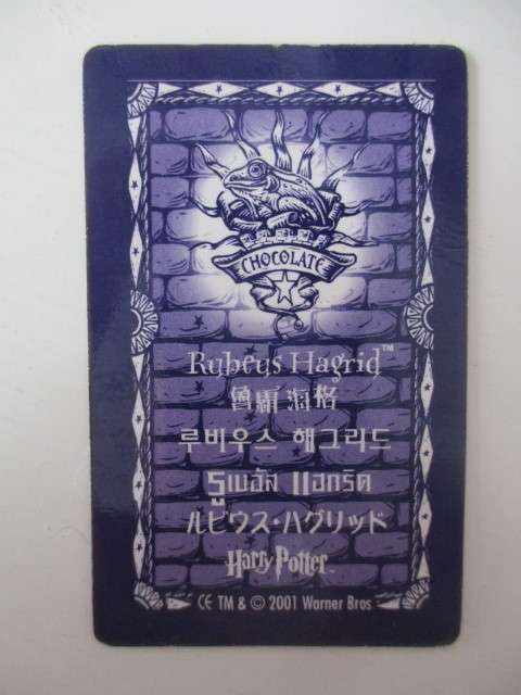 CHOCOLATE FROG 3D HOLOGRAPHIC HARRY POTTER TRADING CARD - RUBEUS HAGRID - WARNER BROTHERS 2001