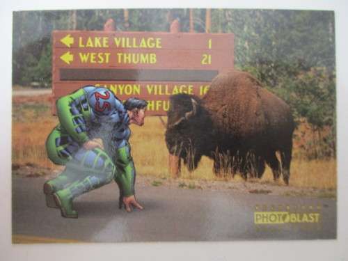 PHOTO BLAST WILDSTORM - TRADING CARDS  BUTTING HEADS NO. 18
