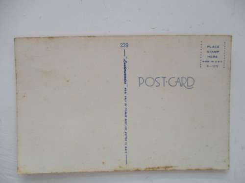 LUSTERCOMICS  NO. 239  POSTCARD - BRITISH HUMOUR