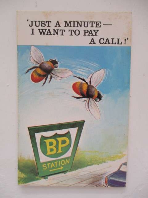 VINTAGE  CARTOON BAMFORTH   - POSTCARD