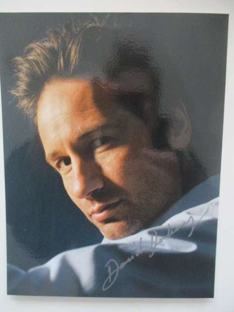 PRINTED AUTOGRAPH DAVID DUCOVNY  X-FILES   -   13 1/2 CM  X 17 1/2 CM
