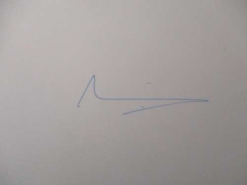AUTOGRAPHED / SIGNED - NEELIE KROES DUTCH POLITICIAN