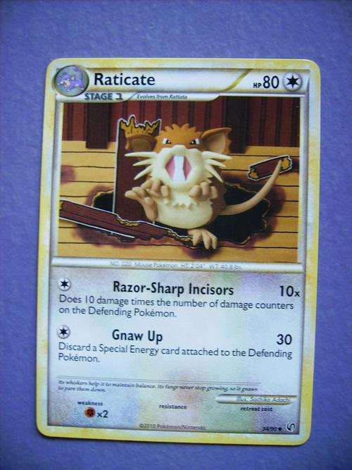 Pokemon Raticate