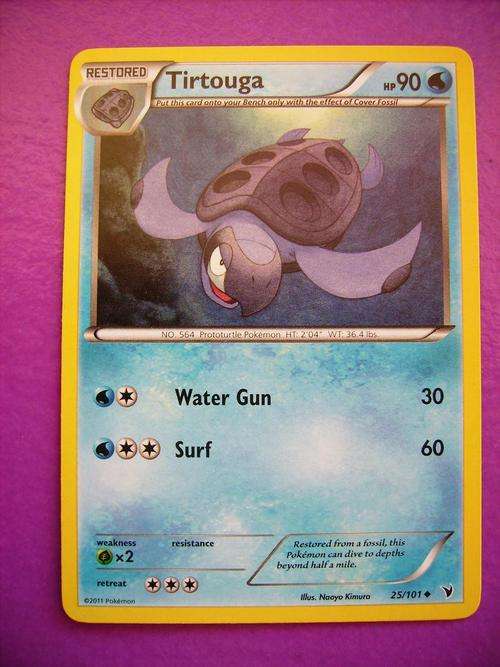 Pokemon Tirtouga