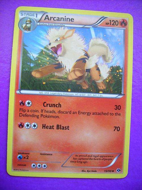 Pokemon Arcanine