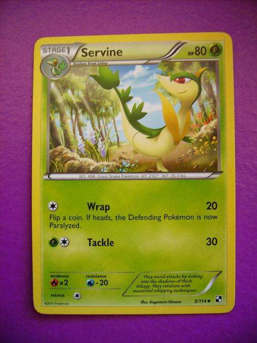 Pokemon Servine