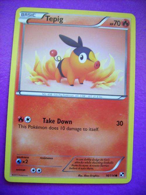 Pokemon Tepig