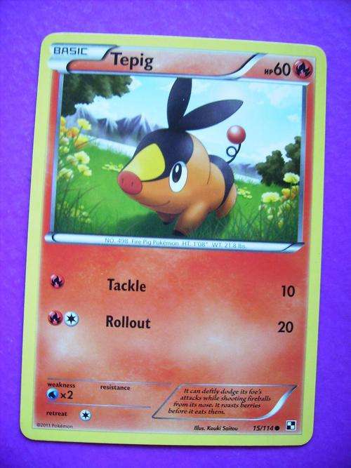 Pokemon Tepig