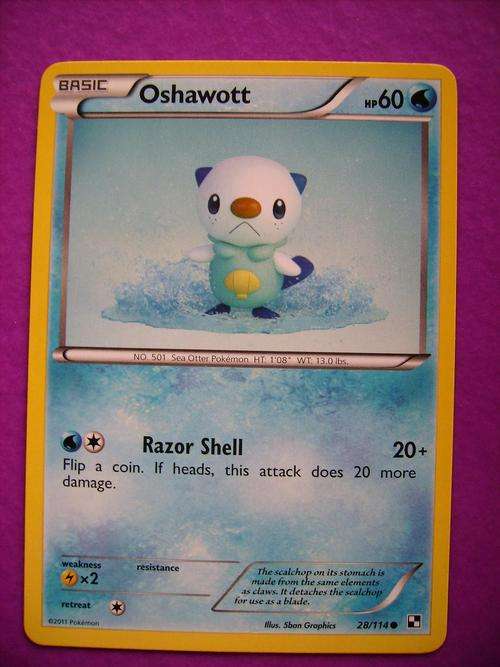 Pokemon Oshawott