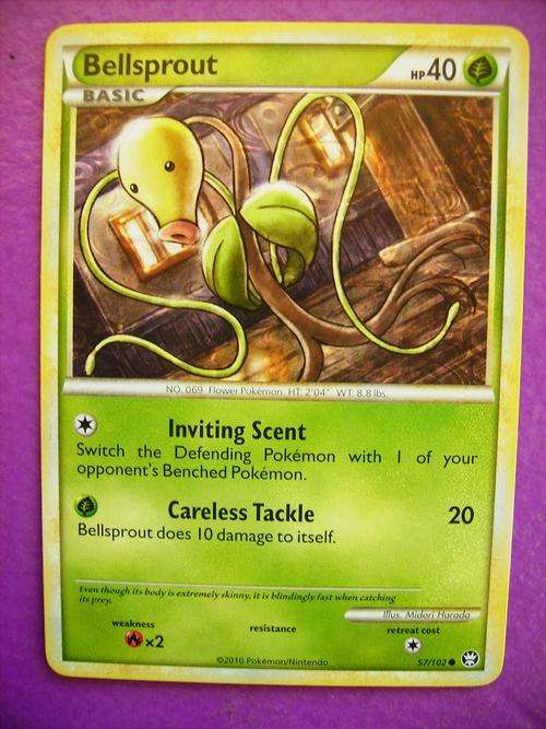 Pokemon Bellsprout
