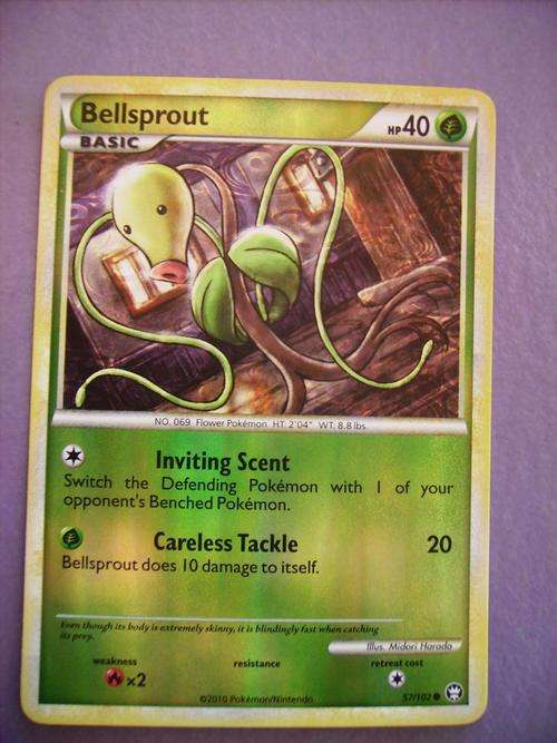 Pokemon Bellsprout Holo Foil