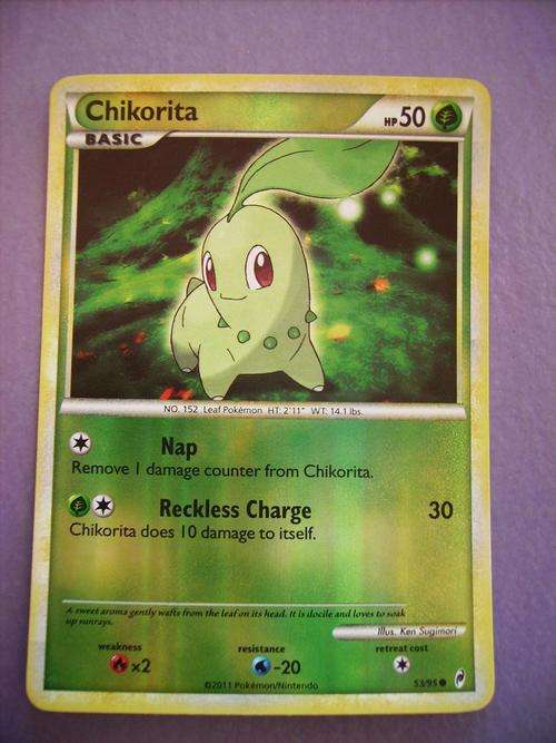 pokemon Chikorita Holo Foil