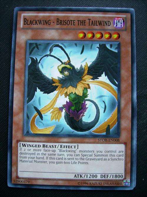 Yu-Gi-Oh Blackwing-Brisote the Tailwind
