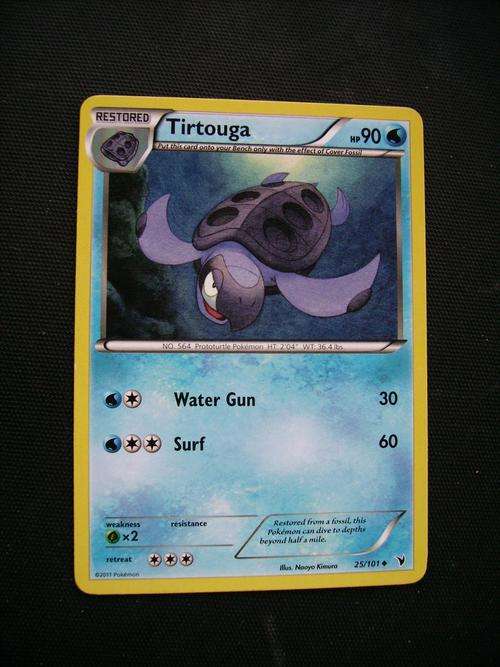 pokemon Tirtouga