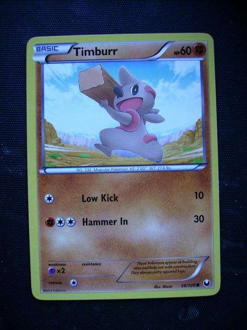 Pokemon Timburr