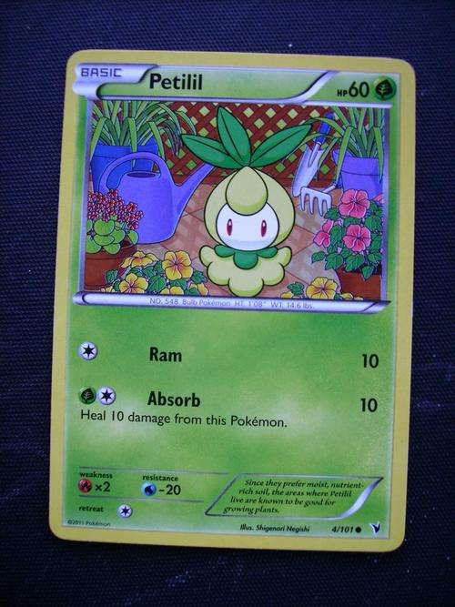 Pokemon Petilil