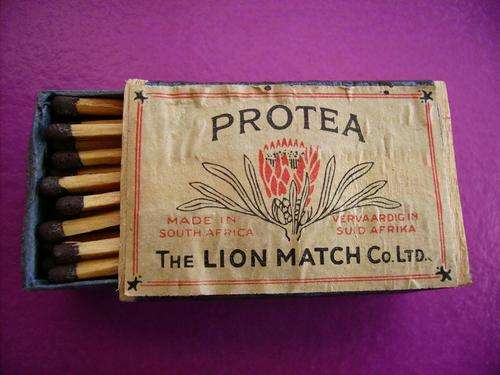 Old box of Protea Lion Matches fully intact with all the contents