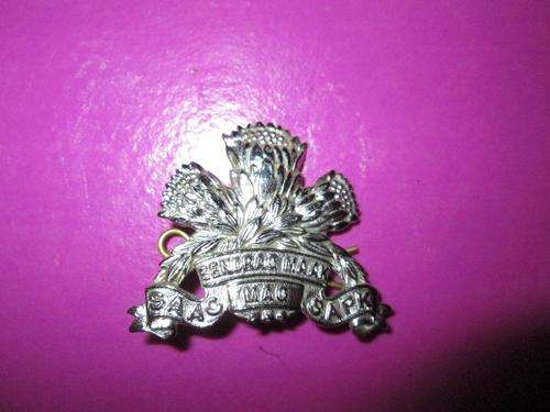 Protea badge for army  beret