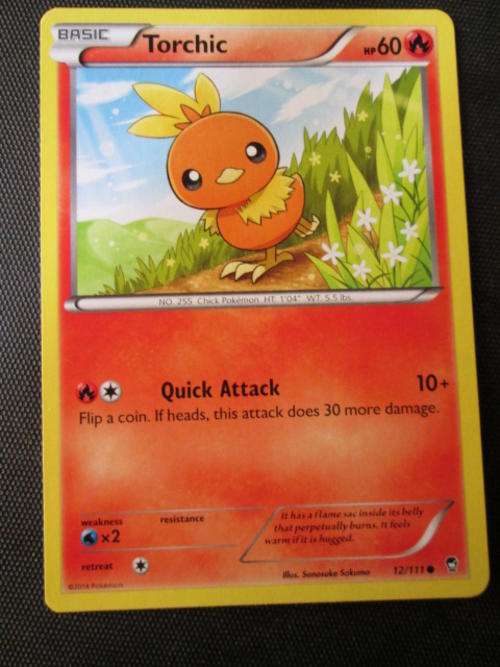 Pokemon Furious Fists Torchic