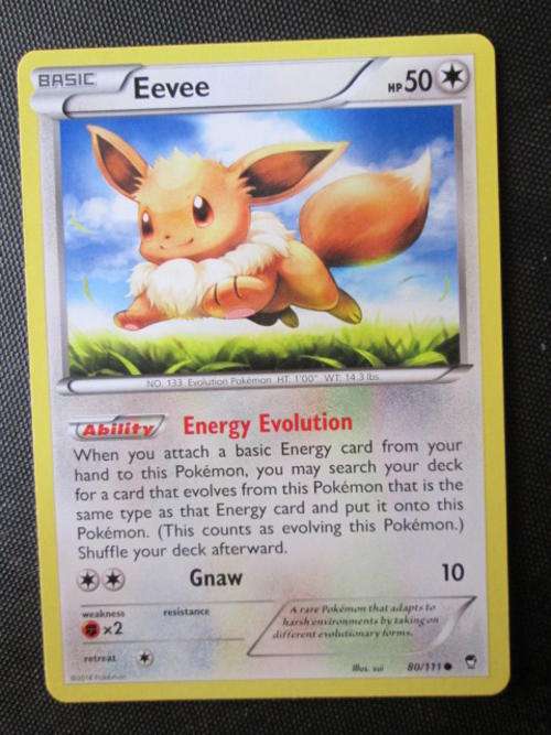 Pokemon Furious Fists Eevee