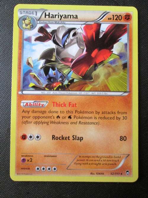 Pokemon Hariyama Furious Fists