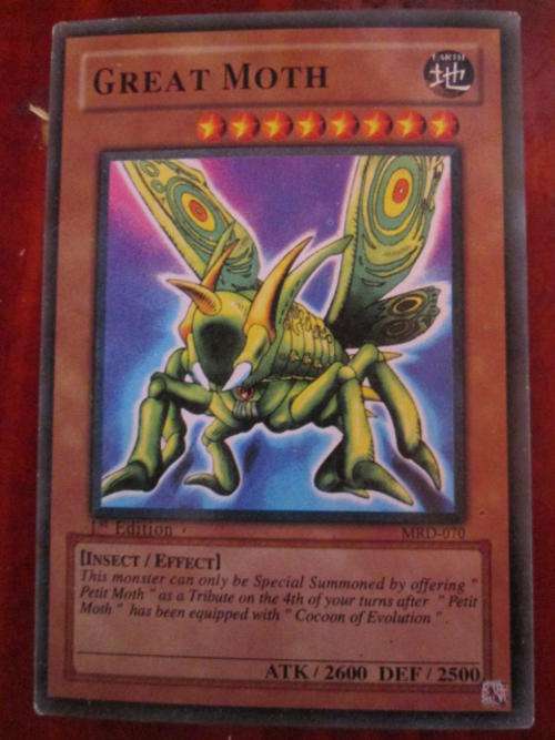 YU-GI-OH GREAT MOTH
