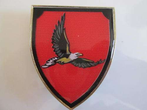 MILITARY FLASH 32 Battalion Alpha Company  3 PINS intact