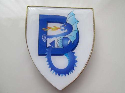 MILITARY FLASH 32 BATTALION DELTA COMPANY PINS INTACT