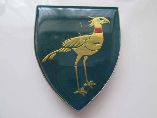 MILITARY FLASH STORMBERG COMMANDO PINS INTACT reproduction?