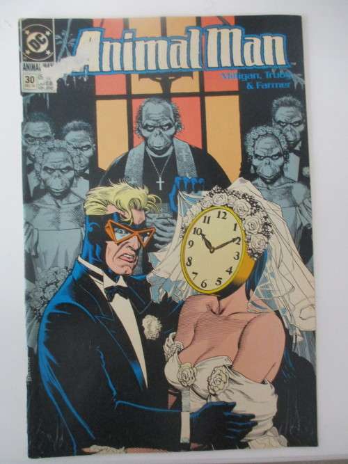 DC COMICS - ANIMAL MAN - NO. 30 -1990