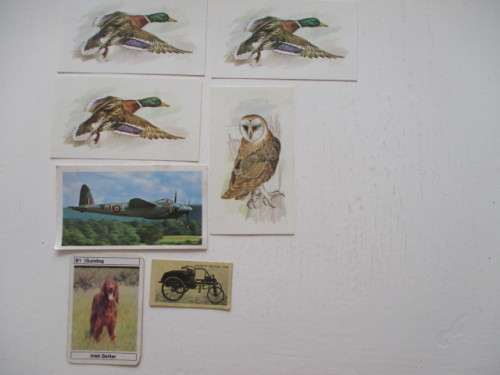 CIGARETTE CARDS - LOT OF ODDMENTS LEFT OVER 7 CARDS