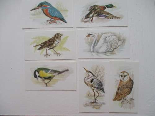 CIGARETTE CARDS - JOHN PLAYER  & SONS - GRANDEE BRITISH BIRDS -  7 CARDS