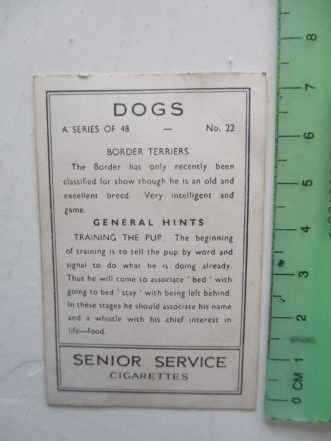 CIGARETTE CARDS /  SENIOR SERVICE - DOGS  LOT OF 6 PHOTOGRAPH CARDS