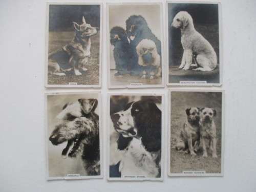 CIGARETTE CARDS - SENIOR SERVICE - LOT OF 6 PHOTOGRAPH CIGARETTE CARDS