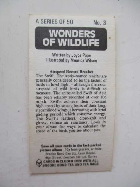 CIGARETTE CARDS - WONDERS OF WILDLIFE - LOT OF 8 CARDS