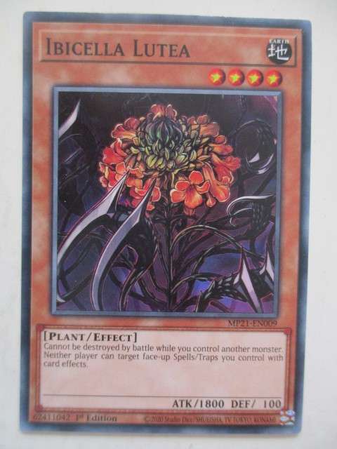 YU-GI-OH TRADING CARD - IBICELLA LUTEA  - 1ST EDITION