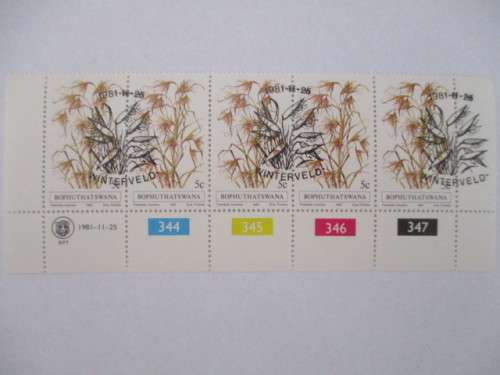 BOPHUTHATSWANA - MINT BLOCK  OF GRASSES STAMPS - 1981