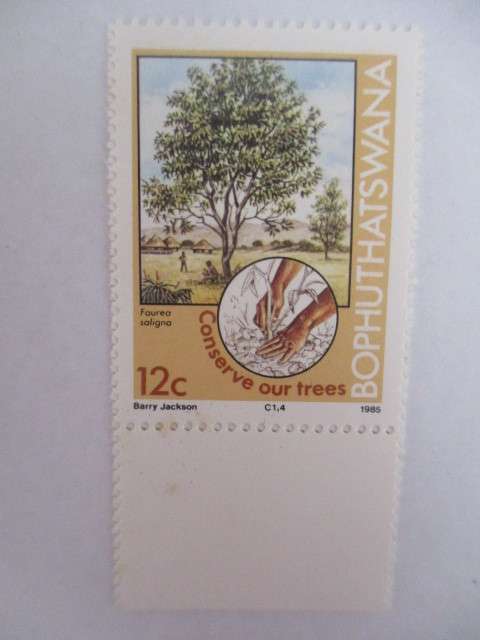 BOPHUTHATSWANA - MNT STAMPS TREES - 1985 - SET