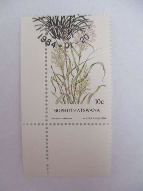 BOPHUTHATSWANA - SET OF MINT STAMPS GRASSES - SET OF 4 - 1984