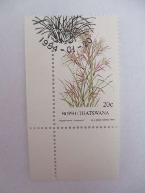 BOPHUTHATSWANA - SET OF MINT STAMPS GRASSES - SET OF 4 - 1984