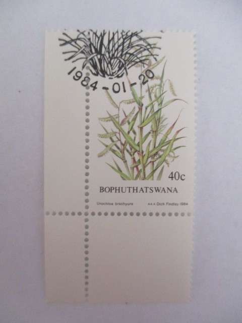 BOPHUTHATSWANA - SET OF MINT STAMPS GRASSES - SET OF 4 - 1984