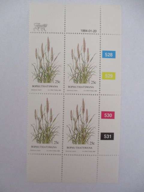 BOPHUTHATSWANA - BLOCK OF MINT STAMPS - 1984 GRASSES  25c