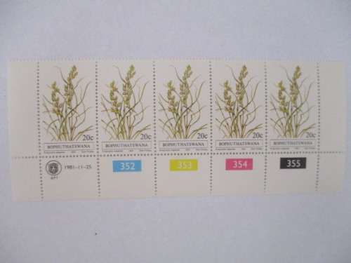 BOPHUTHATSWANA - BLOCK OF MINT STAMPS - 20c - GRASSES - 1981
