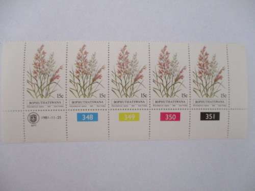 BOPHUTHATSWANA - BLOCK OF MINT STAMPS - 15c  GRASSES -  1981