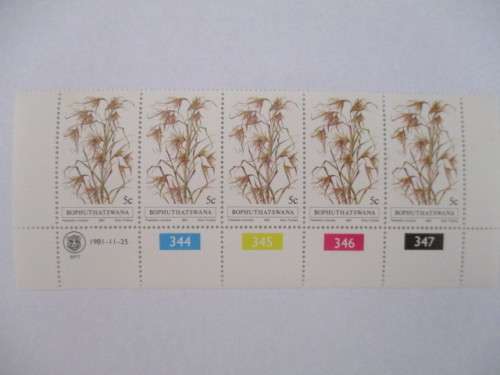 BOPHUTHATSWANA - BLOCK OF MINT STAMPS GRASSES 5c -  1981