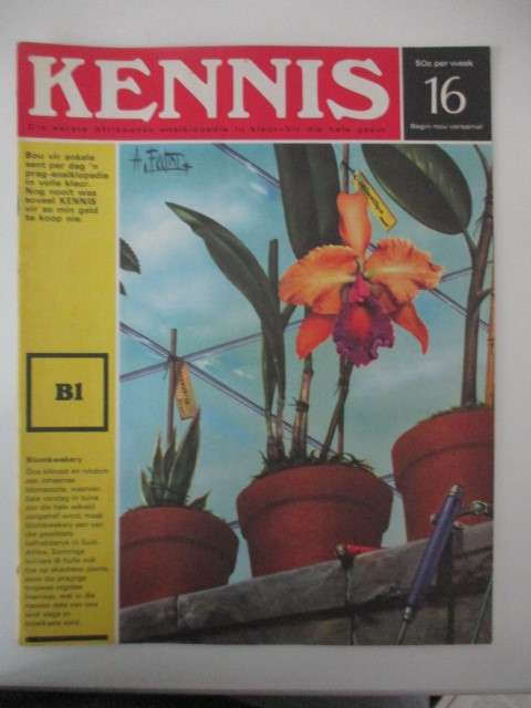 VINTAGE KENNIS IN KLEUR INSIKLOPEDIE - NO. 16