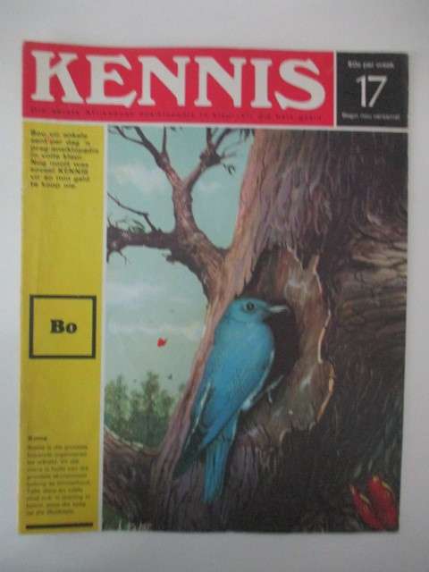 VINTAGE KENNIS ENSIKLOPEDIE IN KLEUR - NO. 17