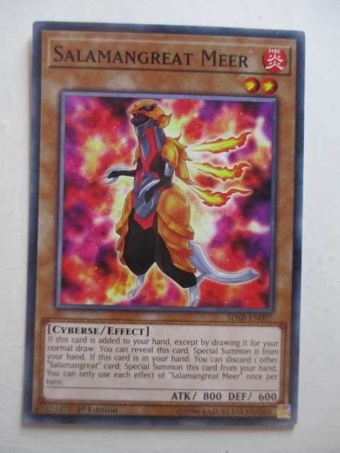 YU-GI-OH TRADING CARDS - SALAMANGREAT MEER