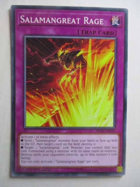 YU-GI-OH TRADING CARD SALAMANGREAT RAGE