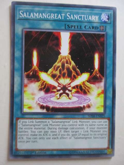 YU-GI-OH TRADING CARD - SALAMANGREAT SANCTUARY